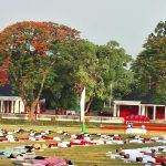 International Yoga Day